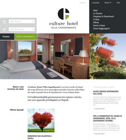 Web design for Culture Hotels